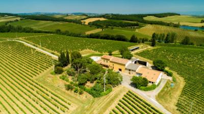 Exceptional Wine Estate On 36 Hectares In The Aude