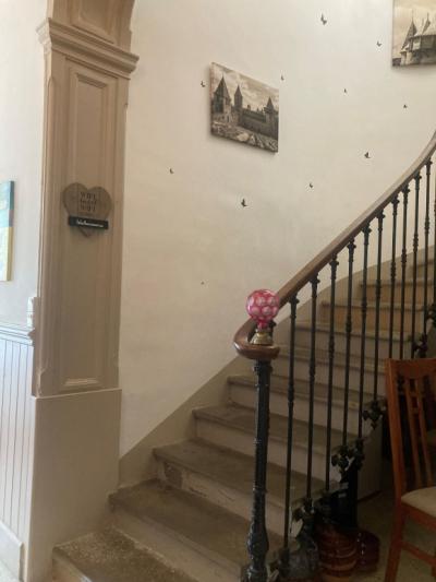 Mansion House With Garden And Terrace