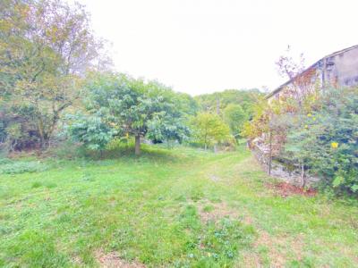 Vast Farmhouse To Renovate