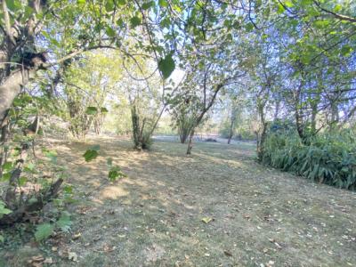 House Of Character with Swimming Pool in Large Mature Gardens