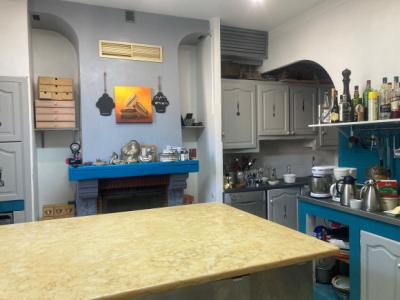 Mansion House With Garden And Terrace