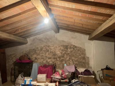 Village House With Garage, Garden, Summer Kitchen, Convertible Attic