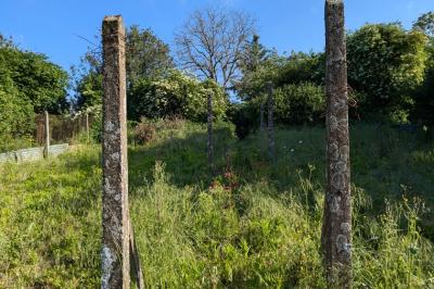 Former Masonry Workshop to Develop into a House