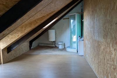 Two Houses to Renovate in the Countryside