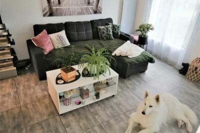 Modern House in Perfect Condition