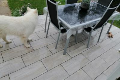 Modern House in Perfect Condition