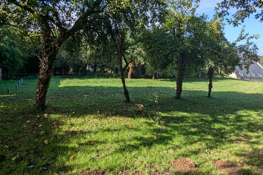 Detached Country House to Finish