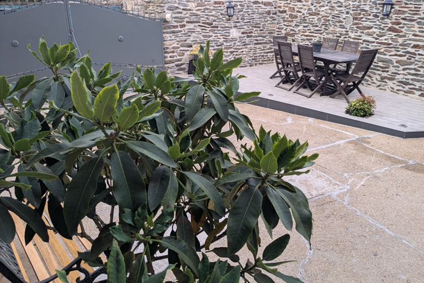 Character House with Courtyard Garden