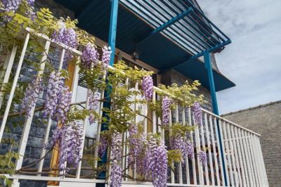 Lovely House with Lots of Character and Garden