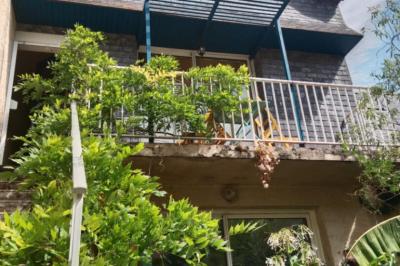 Lovely House with Lots of Character and Garden