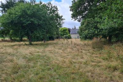 Country House with Large Rooms and Land