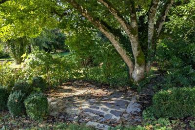 Lovely Village House with Garden