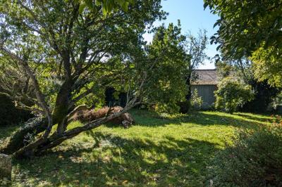 Lovely Village House with Garden