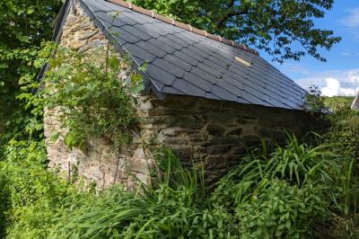 Traditional House with Garden and Outbuilding