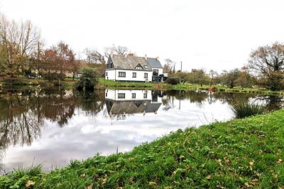 Detached Houses with Lake and Land