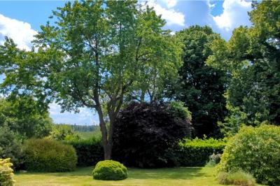 Detached Country House With Open Views