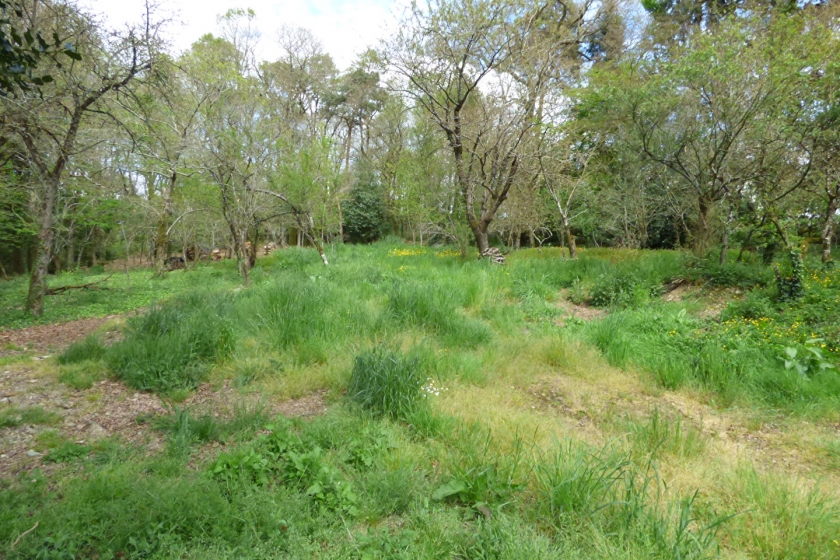 Main Photo of a Land for sale