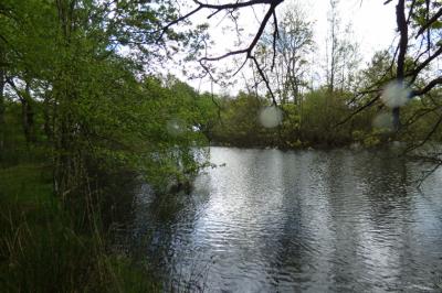 Land with Leisure Lake and Some Buildings