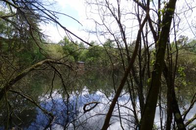 Land with Leisure Lake and Some Buildings